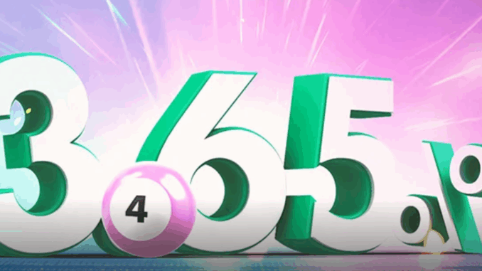 bingo-promoctions